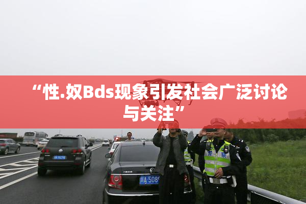 “性.奴Bds现象引发社会广泛讨论与关注”