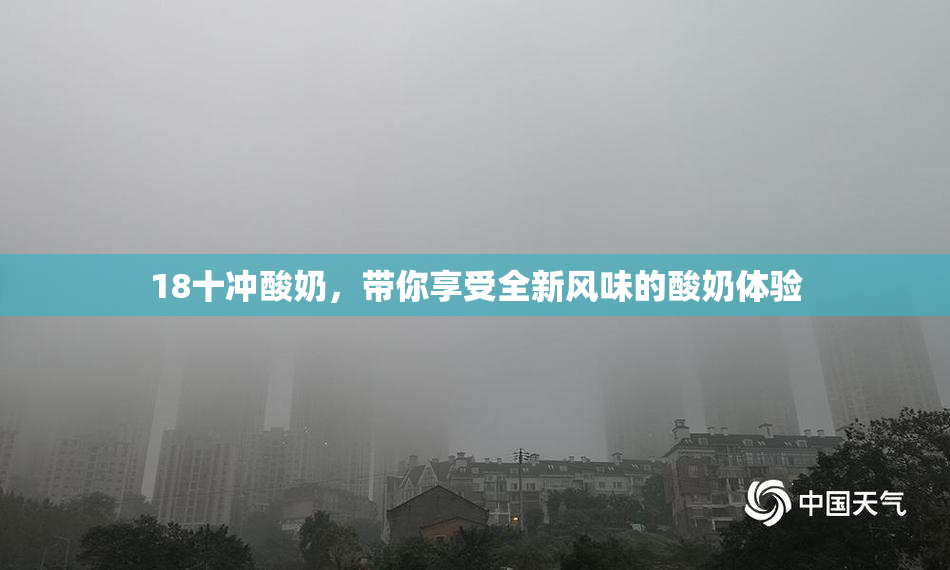 18十冲酸奶，带你享受全新风味的酸奶体验