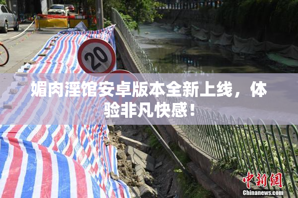 媚肉淫馆安卓版本全新上线，体验非凡快感！