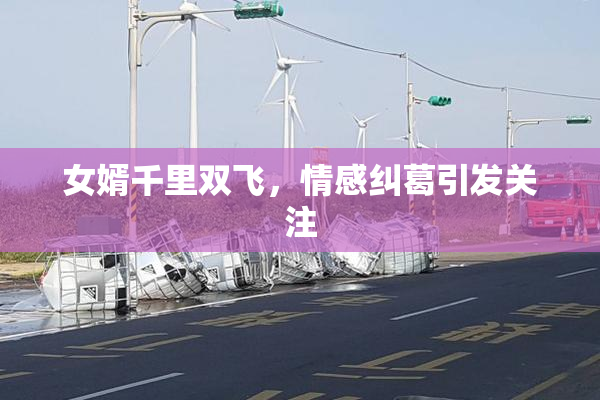 女婿千里双飞，情感纠葛引发关注