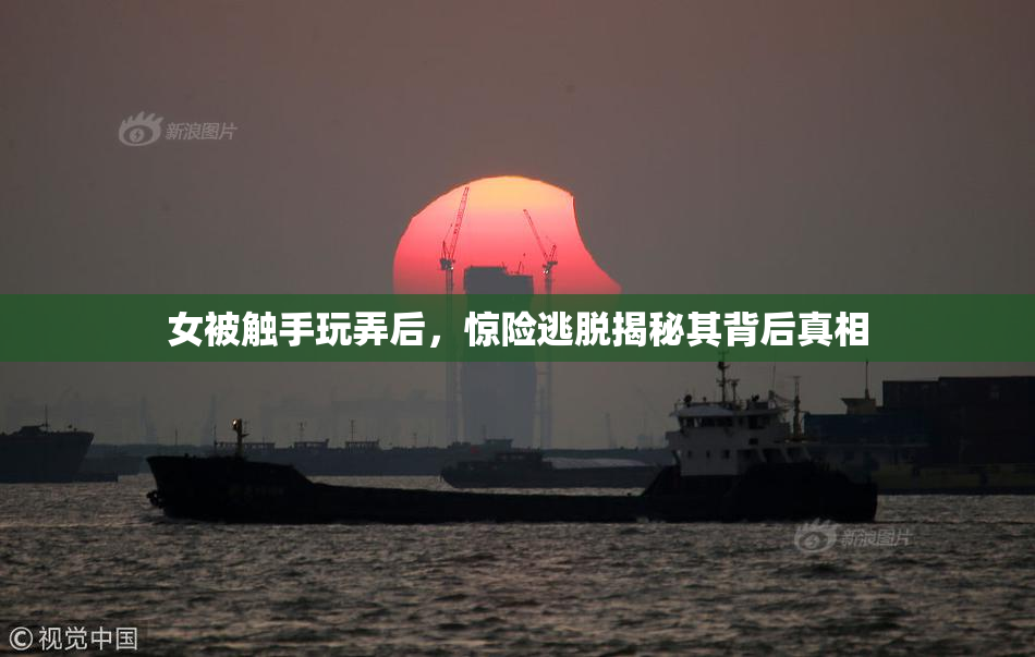 女被触手玩弄后，惊险逃脱揭秘其背后真相