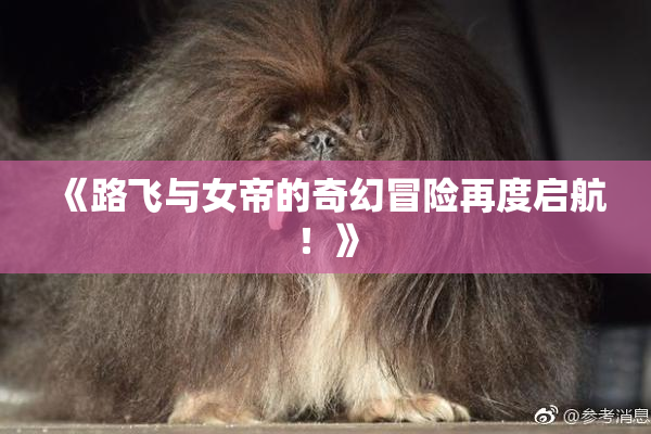 《路飞与女帝的奇幻冒险再度启航！》