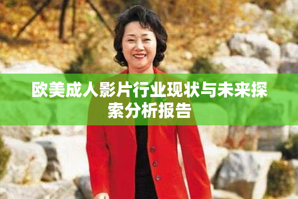 欧美成人影片行业现状与未来探索分析报告