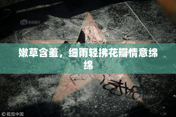 嫩草含羞，细雨轻拂花瓣情意绵绵