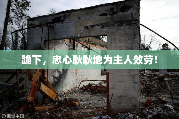 跪下，忠心耿耿地为主人效劳！