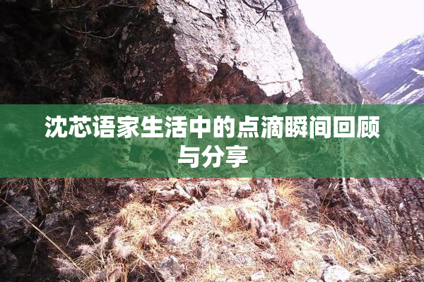 沈芯语家生活中的点滴瞬间回顾与分享