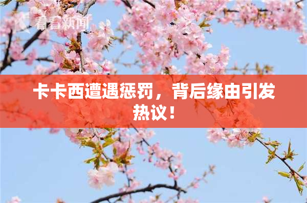 卡卡西遭遇惩罚，背后缘由引发热议！