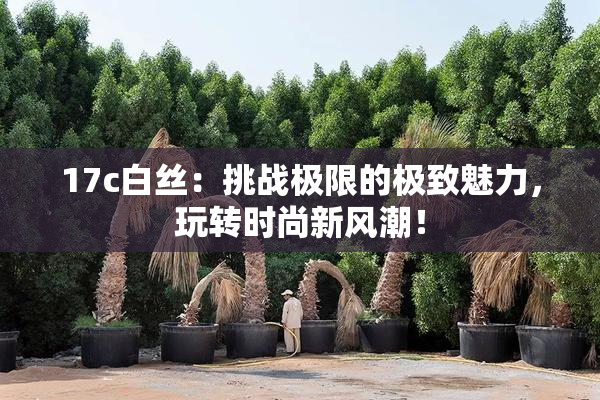 17c白丝：挑战极限的极致魅力，玩转时尚新风潮！