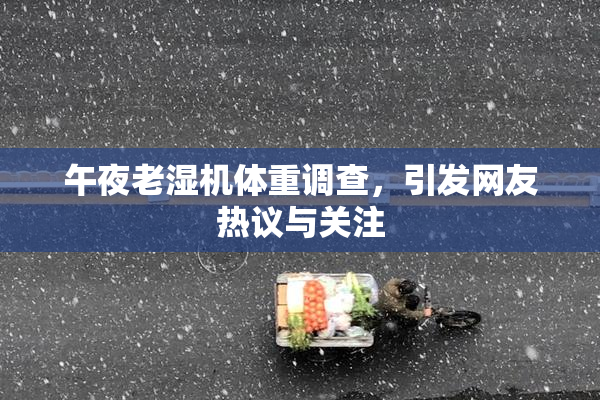午夜老湿机体重调查，引发网友热议与关注