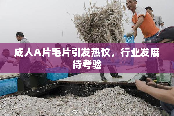 成人A片毛片引发热议，行业发展待考验
