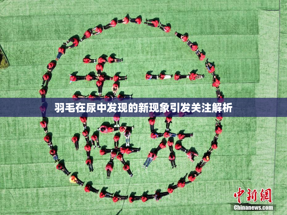 羽毛在尿中发现的新现象引发关注解析
