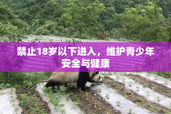 禁止18岁以下进入，维护青少年安全与健康