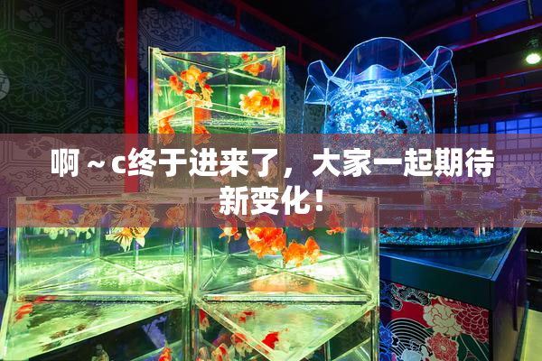 啊～c终于进来了，大家一起期待新变化！