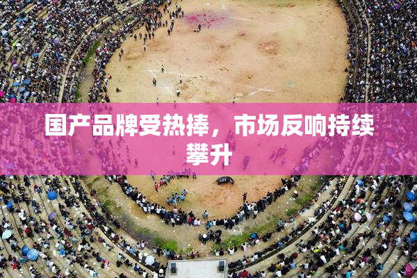 国产品牌受热捧，市场反响持续攀升