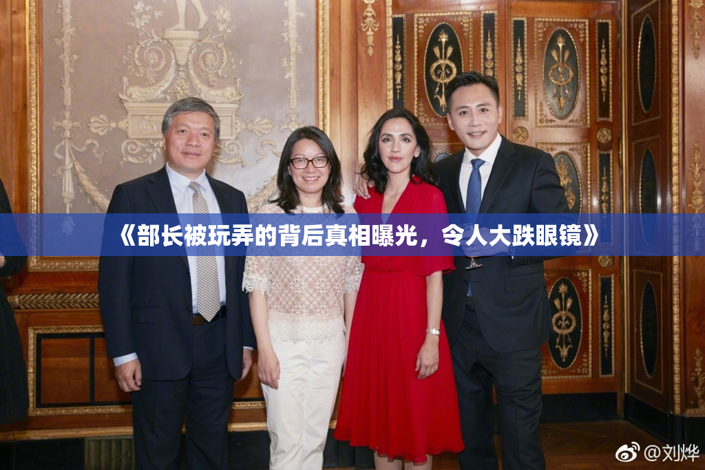 《部长被玩弄的背后真相曝光，令人大跌眼镜》