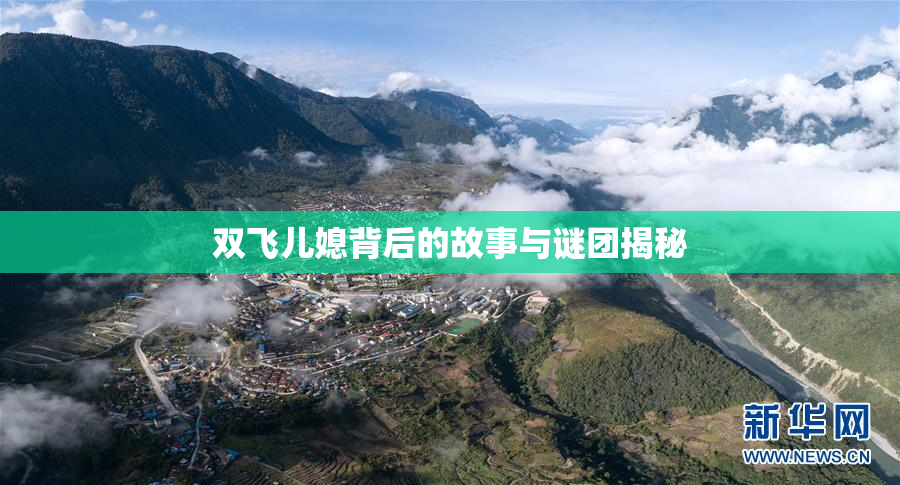 双飞儿媳背后的故事与谜团揭秘