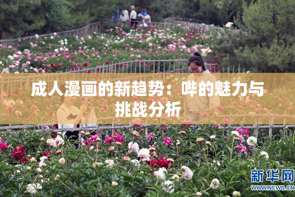 成人漫画的新趋势：哔的魅力与挑战分析