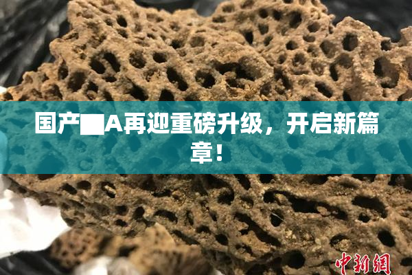 国产▇A再迎重磅升级，开启新篇章！