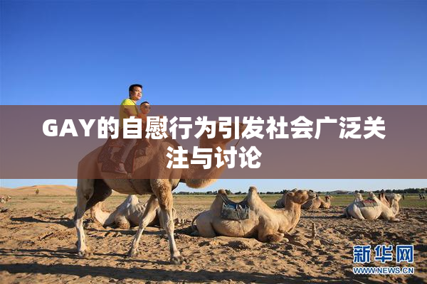GAY的自慰行为引发社会广泛关注与讨论