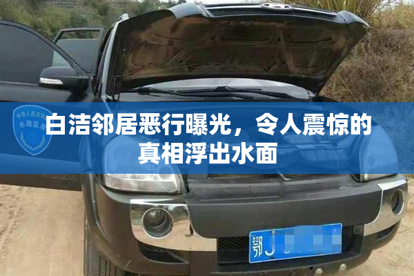 白洁邻居恶行曝光，令人震惊的真相浮出水面