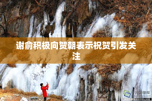 谢俞积极向贺朝表示祝贺引发关注