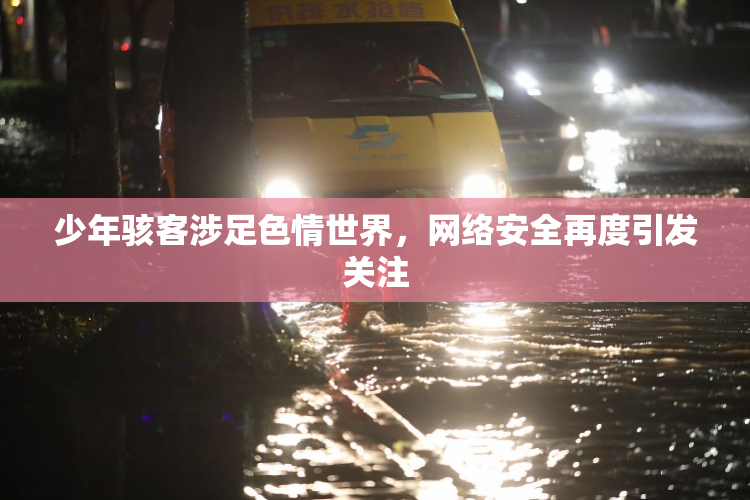 少年骇客涉足色情世界，网络安全再度引发关注