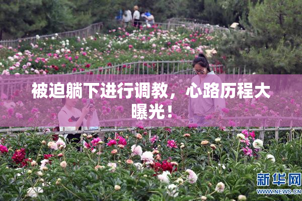 被迫躺下进行调教，心路历程大曝光！