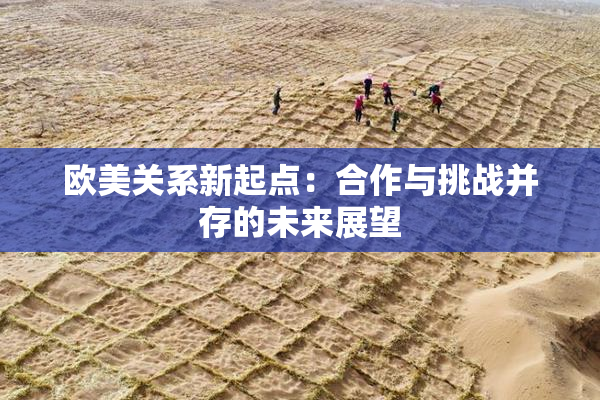 欧美关系新起点：合作与挑战并存的未来展望