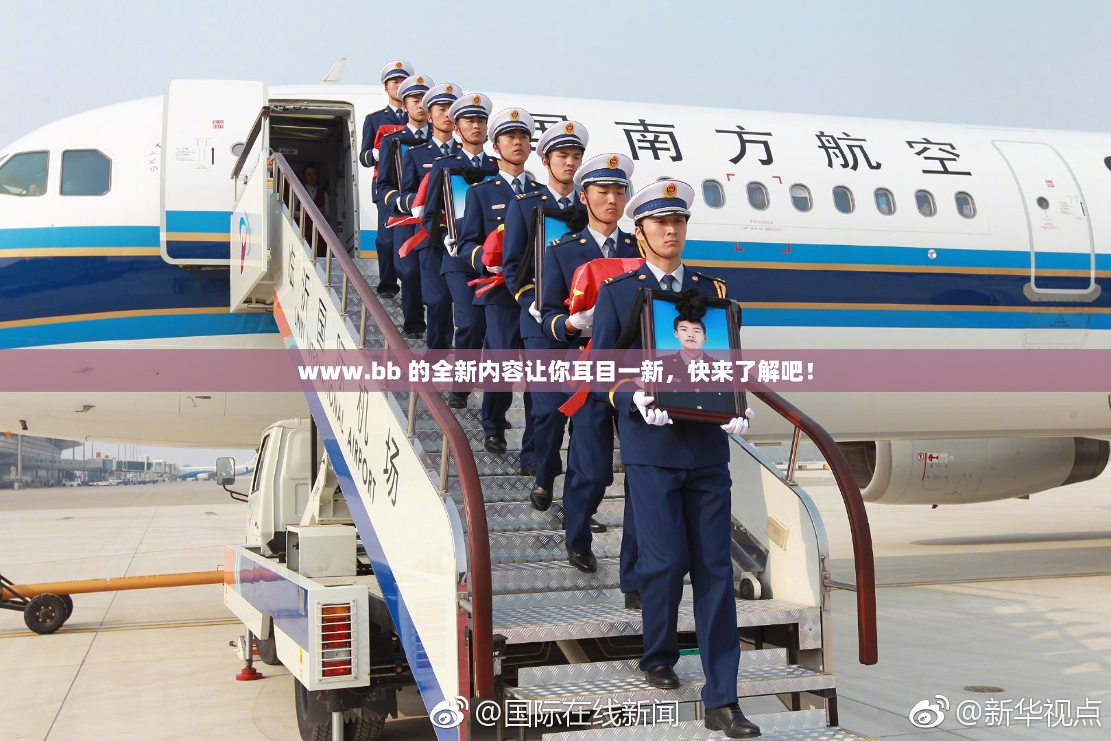 www.bb 的全新内容让你耳目一新，快来了解吧！