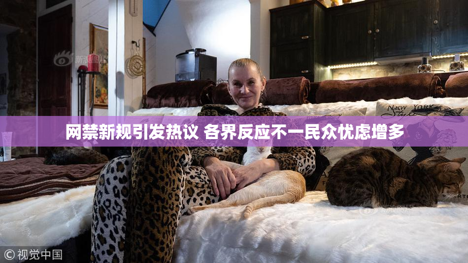 网禁新规引发热议 各界反应不一民众忧虑增多