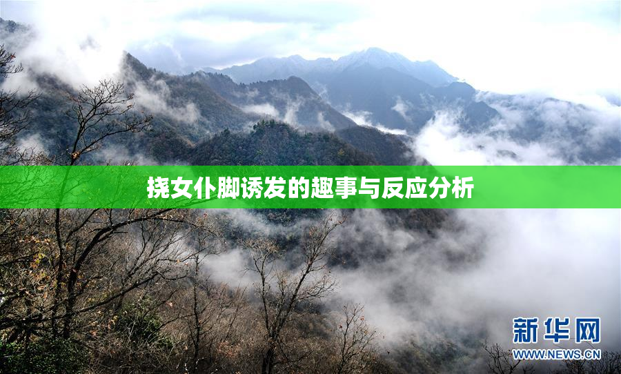 挠女仆脚诱发的趣事与反应分析