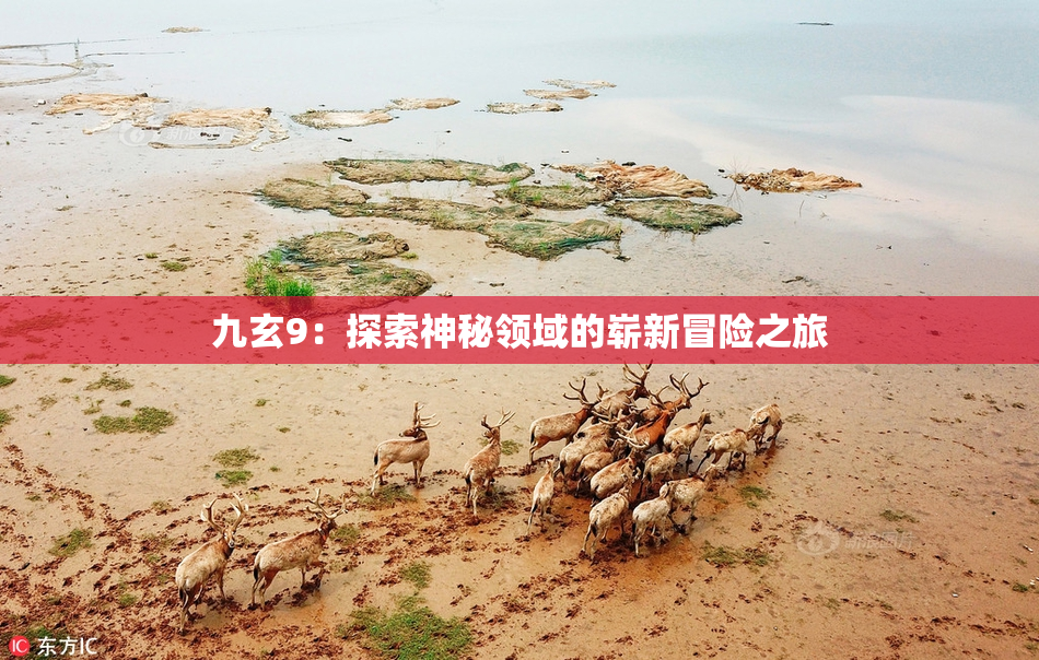 九玄9：探索神秘领域的崭新冒险之旅