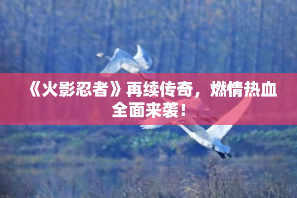 《火影忍者》再续传奇，燃情热血全面来袭！