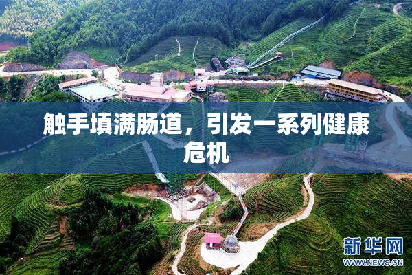 触手填满肠道，引发一系列健康危机