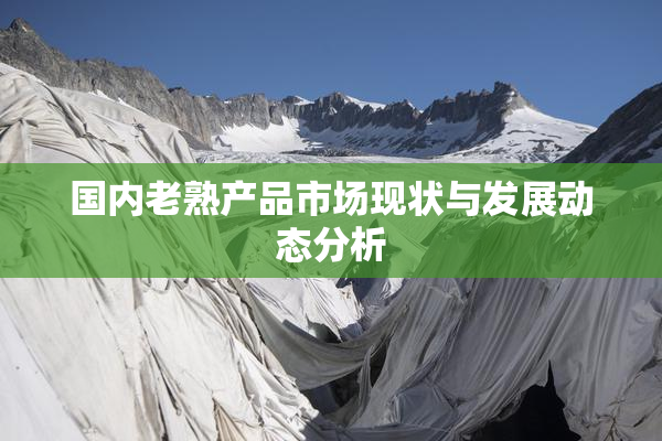 国内老熟产品市场现状与发展动态分析