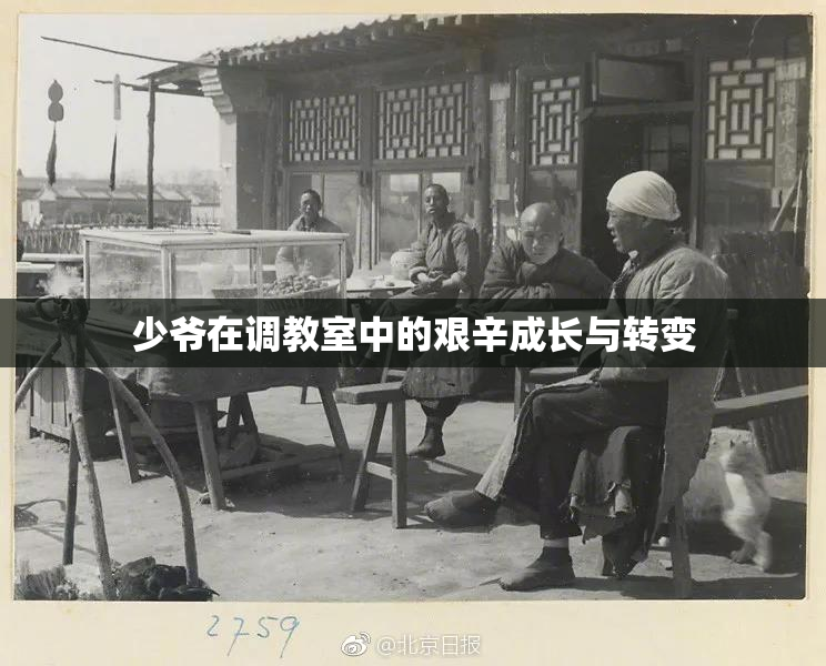 少爷在调教室中的艰辛成长与转变
