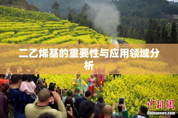二乙烯基的重要性与应用领域分析