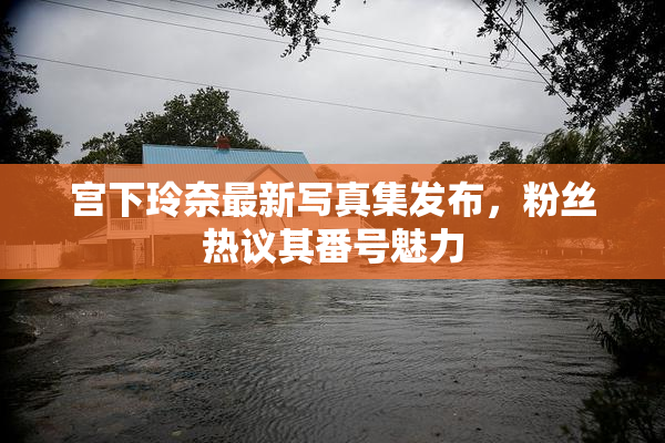 宫下玲奈最新写真集发布，粉丝热议其番号魅力