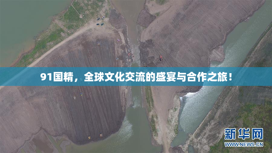 91国精，全球文化交流的盛宴与合作之旅！