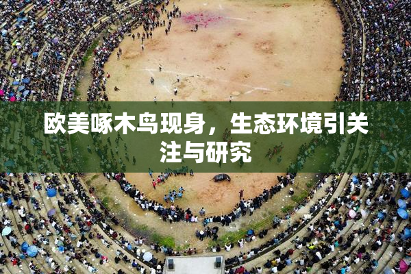 欧美啄木鸟现身，生态环境引关注与研究