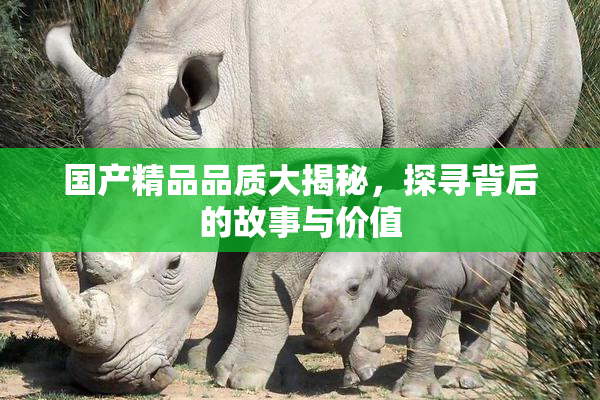 国产精品品质大揭秘，探寻背后的故事与价值