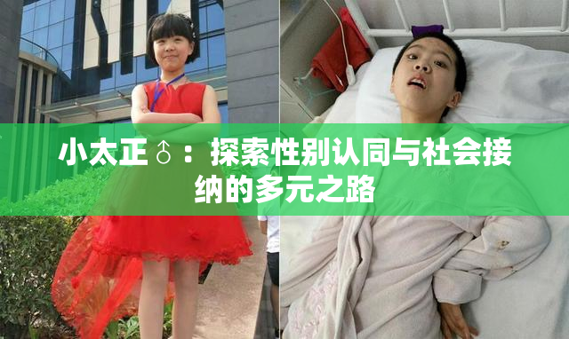 小太正♂：探索性别认同与社会接纳的多元之路