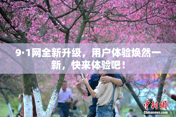 9·1网全新升级，用户体验焕然一新，快来体验吧！