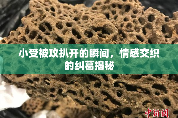小受被攻扒开的瞬间，情感交织的纠葛揭秘