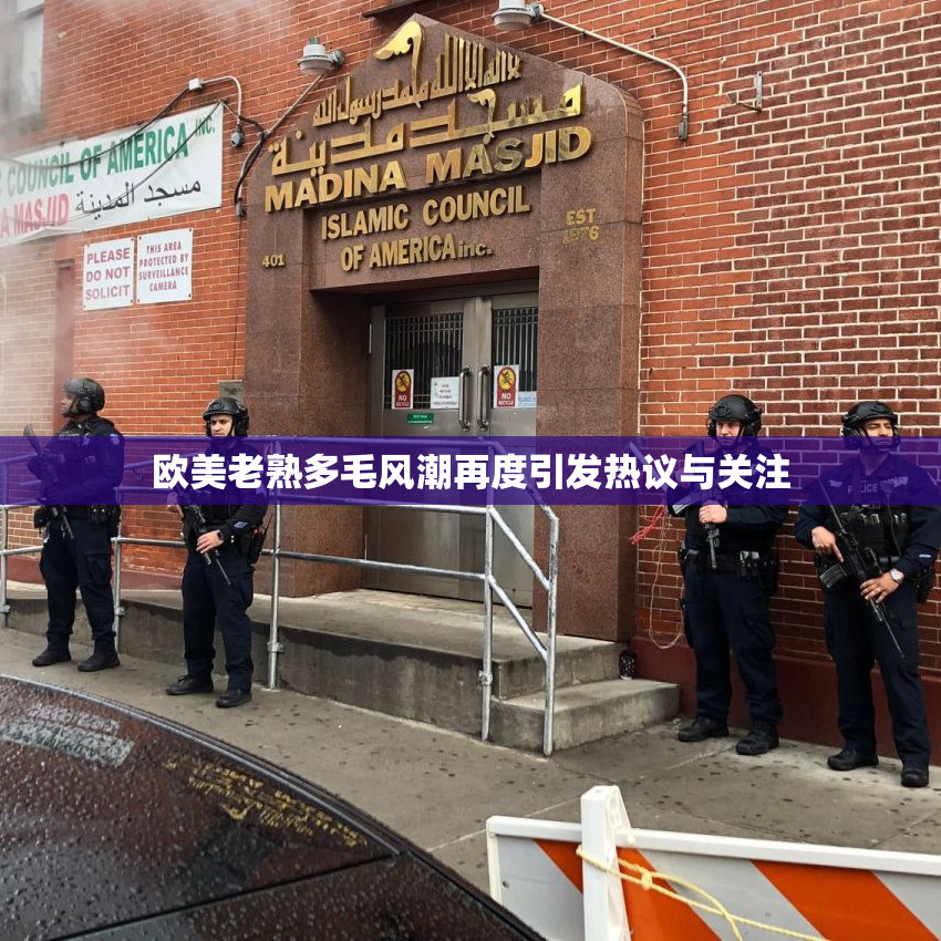 欧美老熟多毛风潮再度引发热议与关注