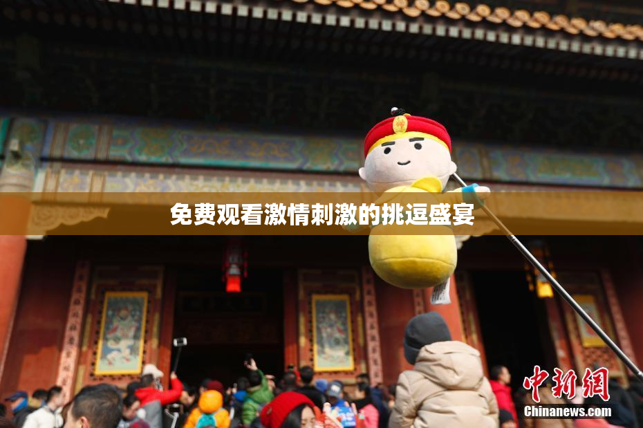 免费观看激情刺激的挑逗盛宴