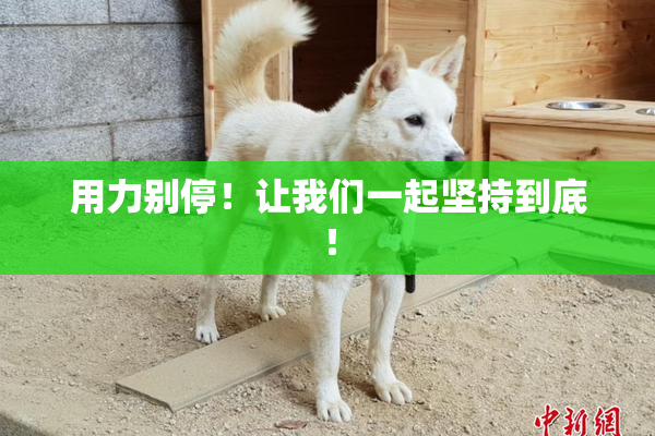 用力别停！让我们一起坚持到底！