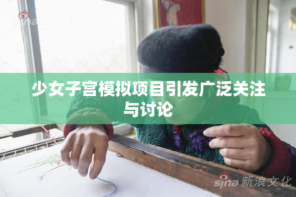少女子宫模拟项目引发广泛关注与讨论