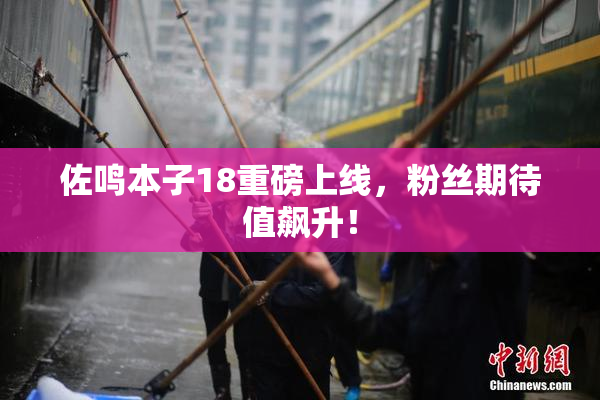 佐鸣本子18重磅上线，粉丝期待值飙升！