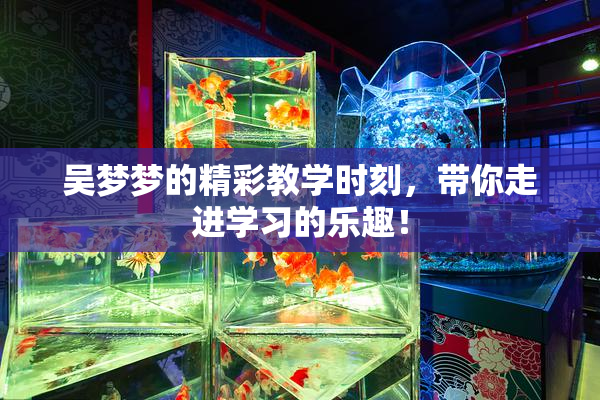 吴梦梦的精彩教学时刻，带你走进学习的乐趣！